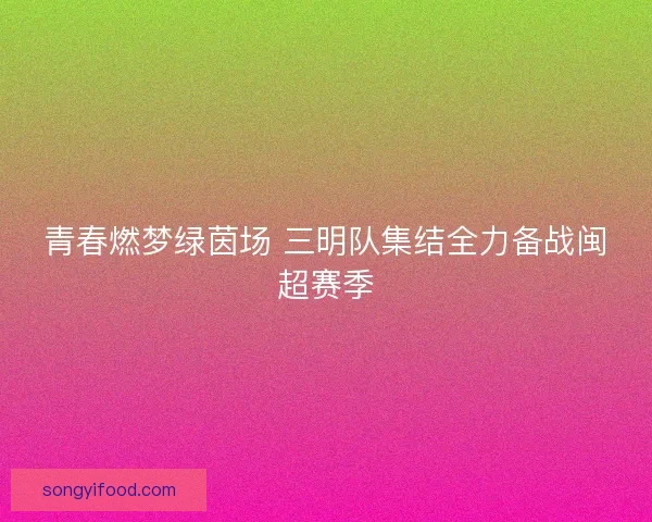 青春燃梦绿茵场 三明队集结全力备战闽超赛季