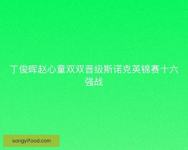 丁俊晖赵心童双双晋级斯诺克英锦赛十六强战