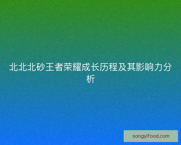 北北北砂王者荣耀成长历程及其影响力分析