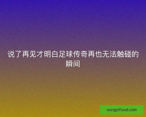 说了再见才明白足球传奇再也无法触碰的瞬间