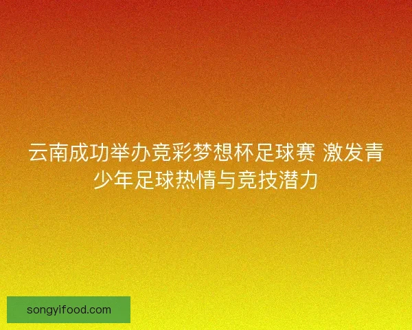 云南成功举办竞彩梦想杯足球赛 激发青少年足球热情与竞技潜力