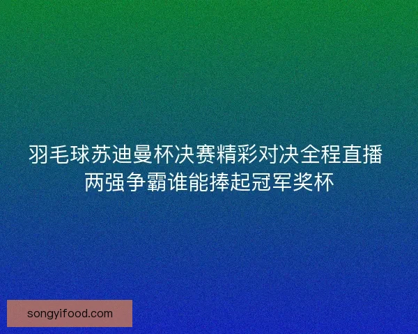 羽毛球苏迪曼杯决赛精彩对决全程直播 两强争霸谁能捧起冠军奖杯